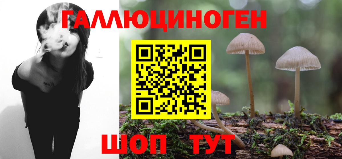 Тихорецк  Псилоцибиновые грибы мицелий  Вход с VPN 